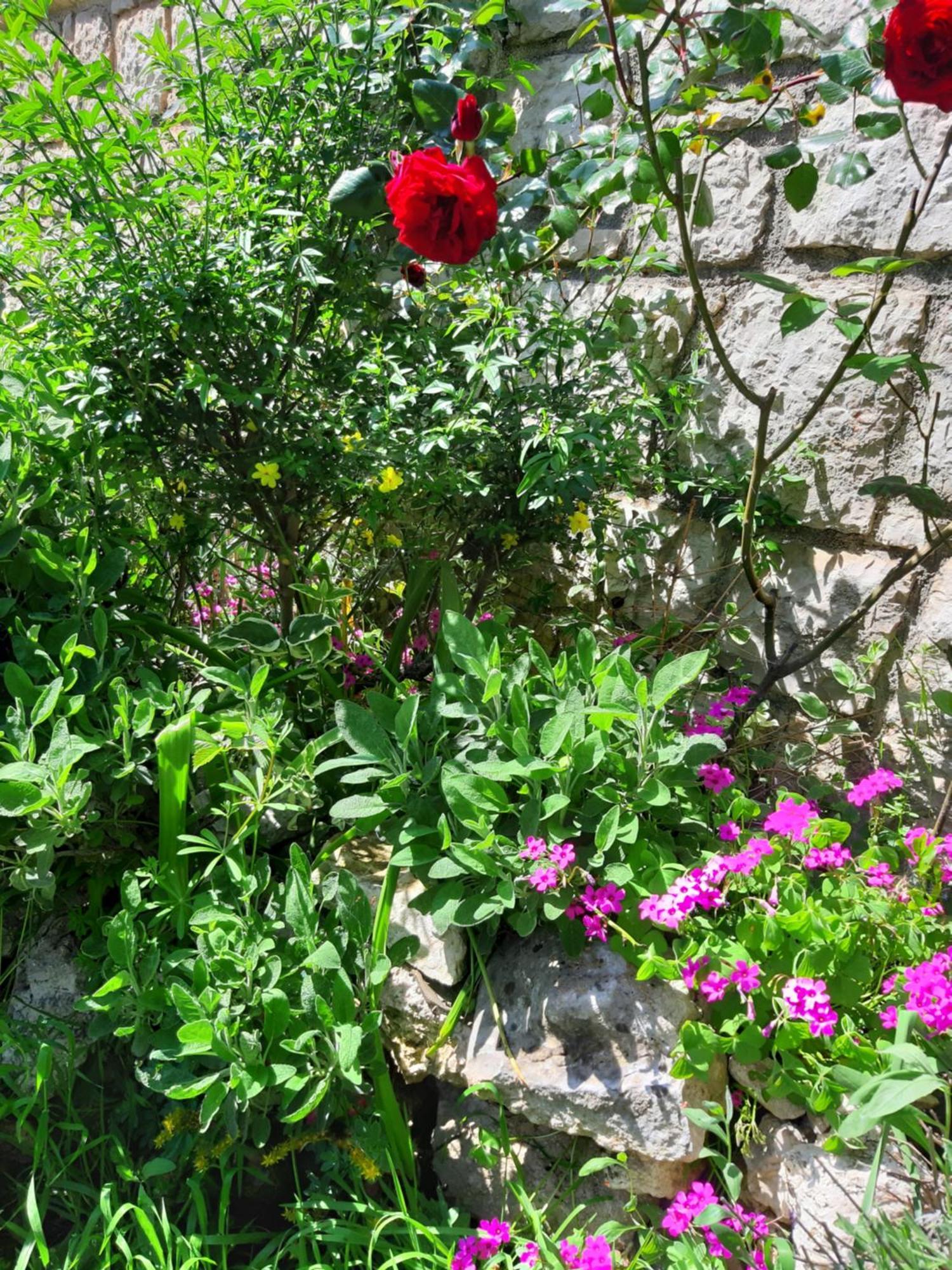 Adria Vrsar Διαμέρισμα Εξωτερικό φωτογραφία